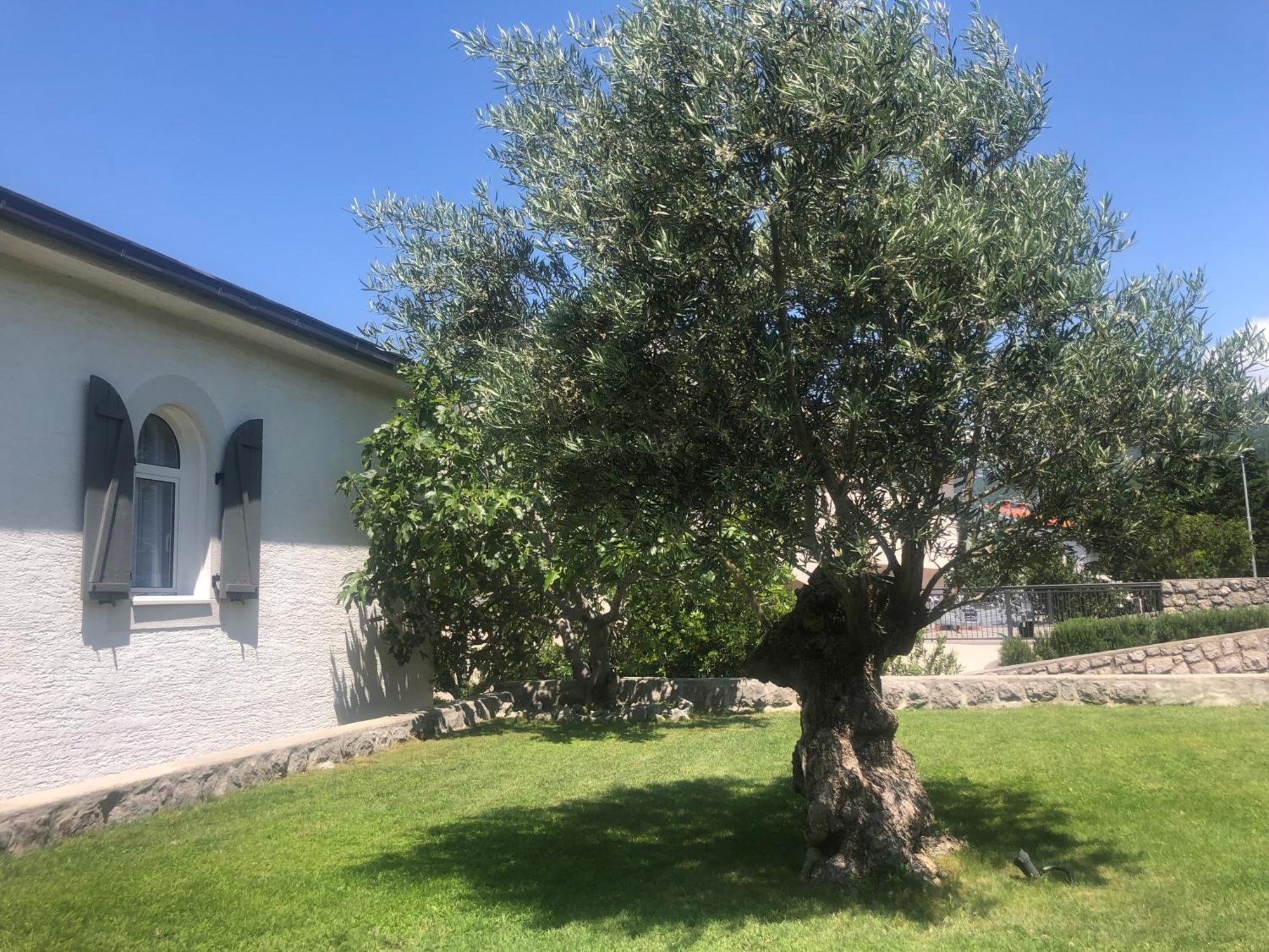 Mydayhouse Klenovica